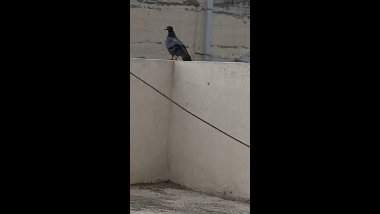 motivation video #Beauty of the world
