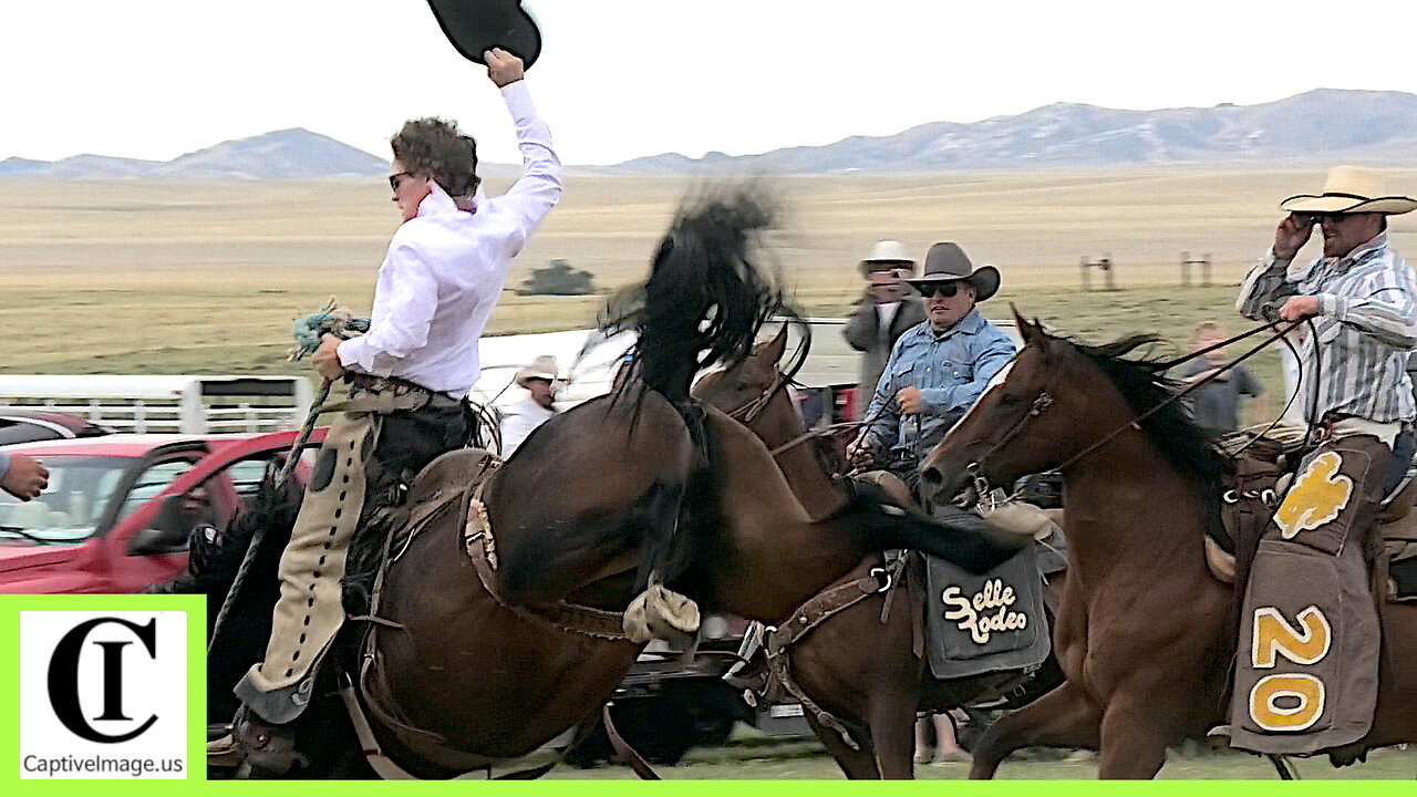 Pasture Bronc Riding 2 - 2024 Tom Horn Days Cowboy Rendezvous | Saturday