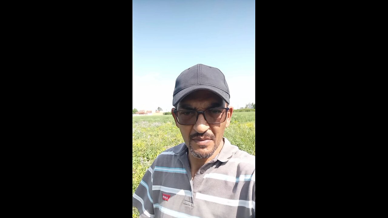 Moroccans against Crimes