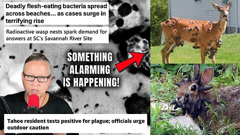 Are We Witnessing A Coordinated Biowarfare Attack On Us Soil?