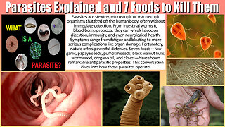 Parasites Explained and 7 Foods to Kill Them