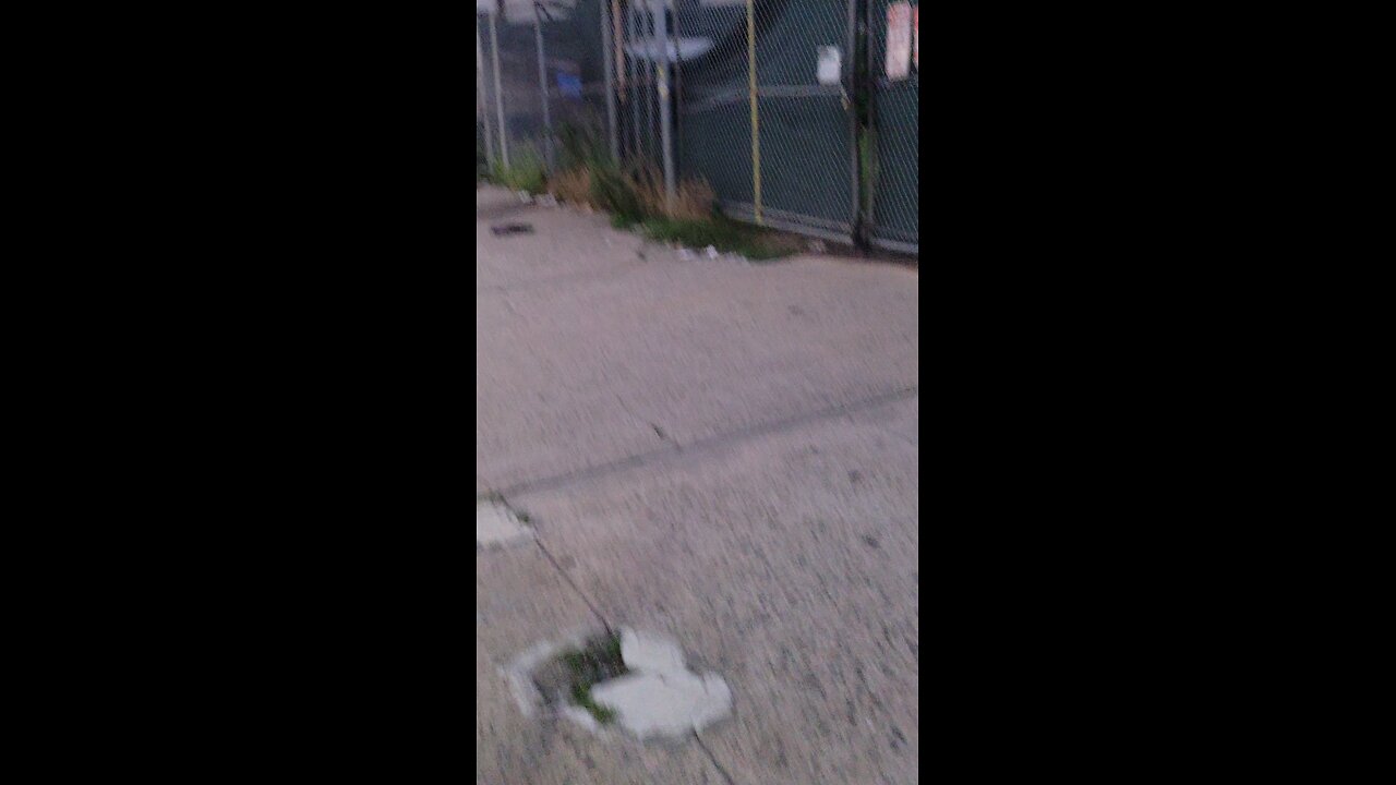 See the use of Negropean with dreadlocks to stalk me. The use different people to stalk me.