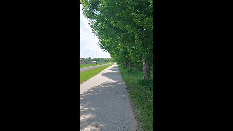 trail section