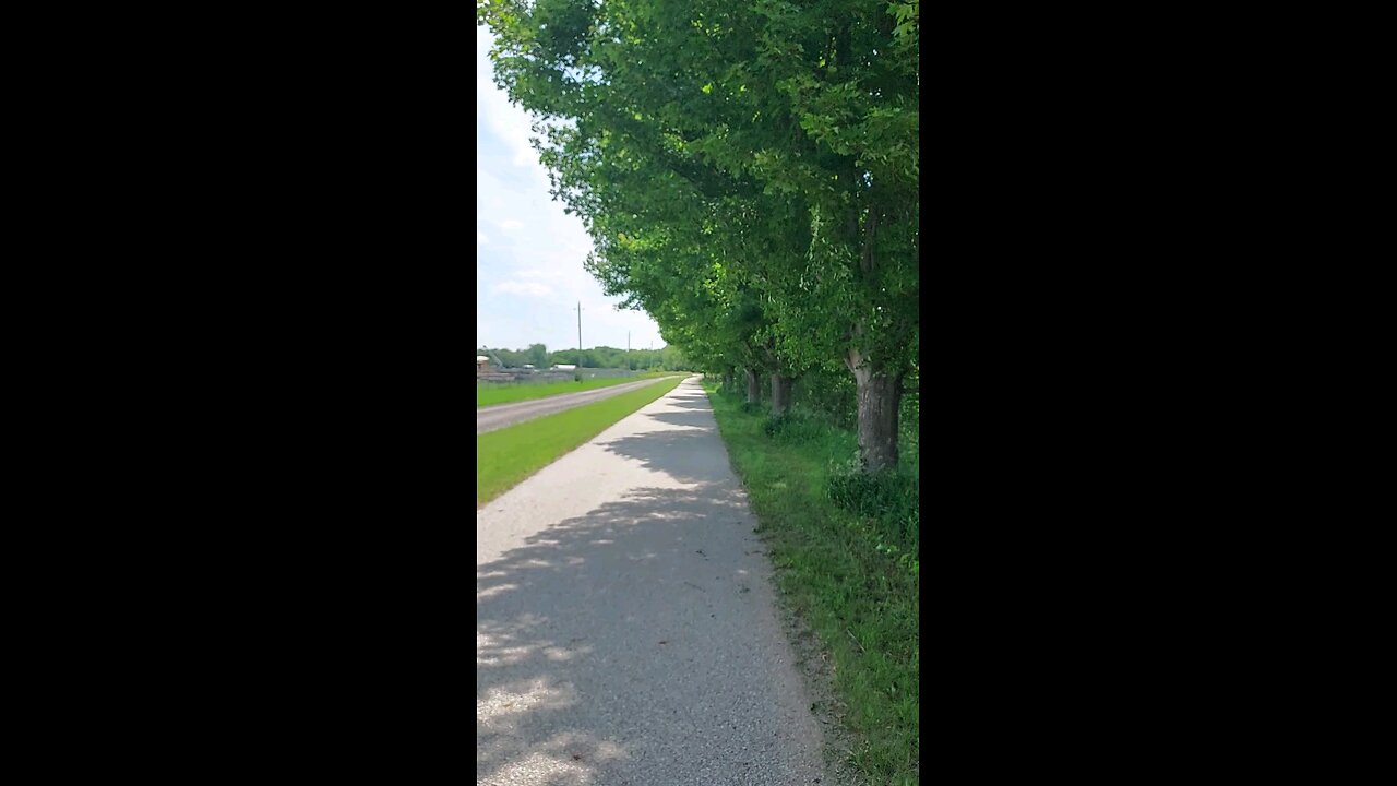 trail section