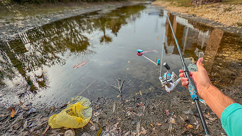 Bass Fishing The SADDEST Pond in Florida