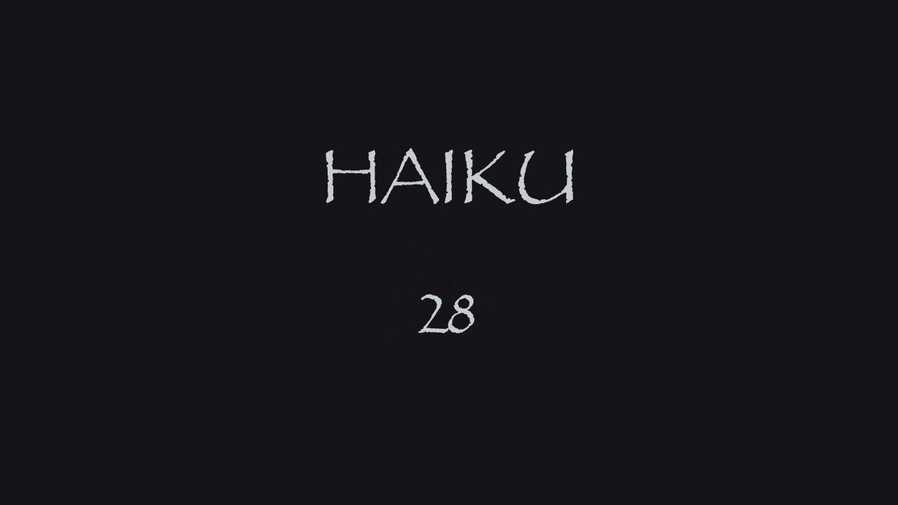 HAIKU 28