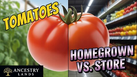Grow Tomatoes at Home and Never Go Back to Supermarkets!