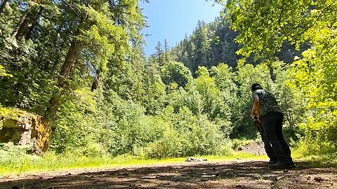 range day in the woods 2