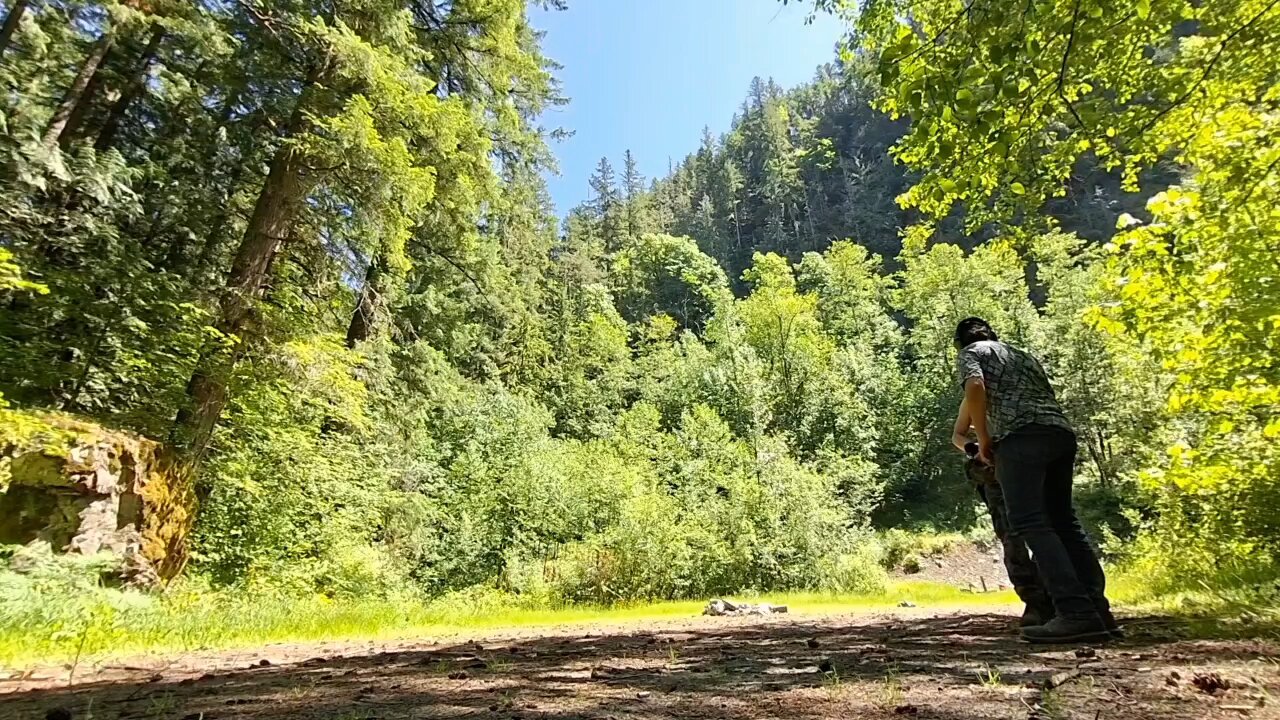 range day in the woods 2