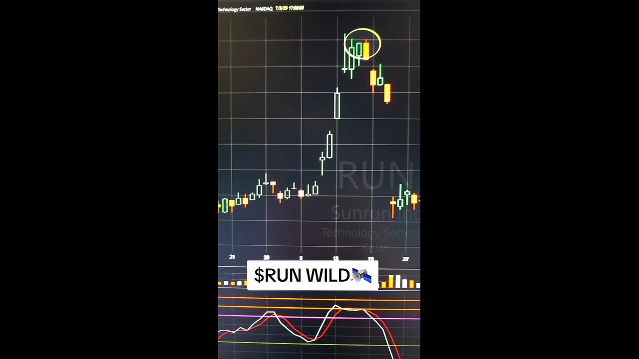 $RUN WILD🛰
