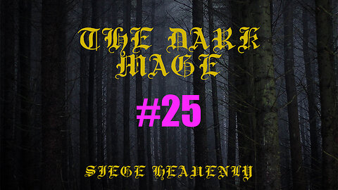 The Dark Mage - Chapter 25: Fr. Victor's Ordination