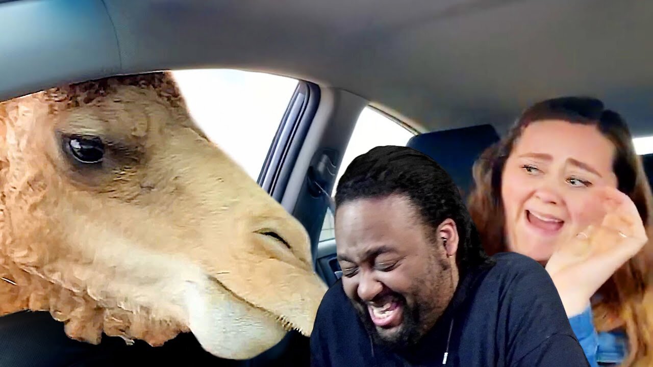 The Best Of The Internet (2024) Reaction