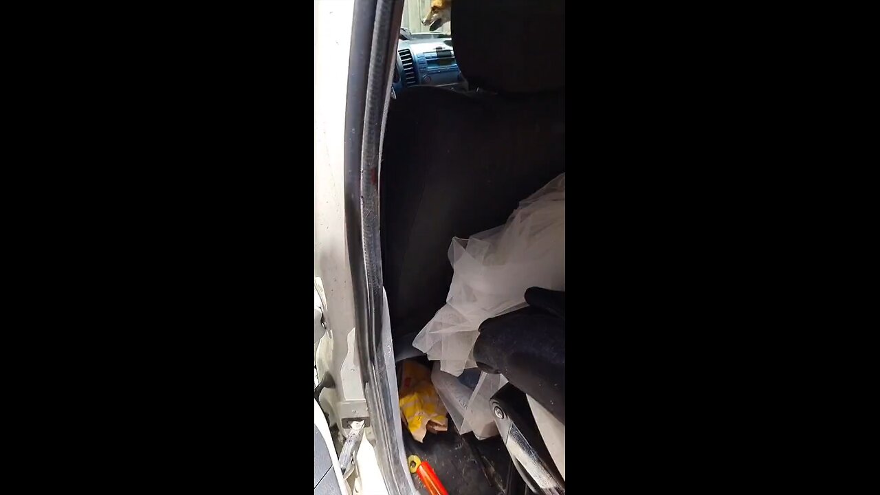 Things you see only in Australia 🇦🇺