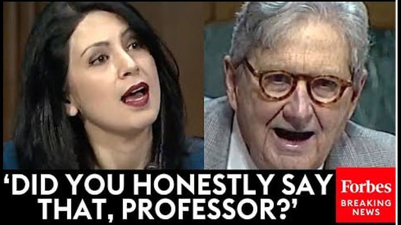 John Kennedy Brutally Confronts Witness Over Her Past Tweets