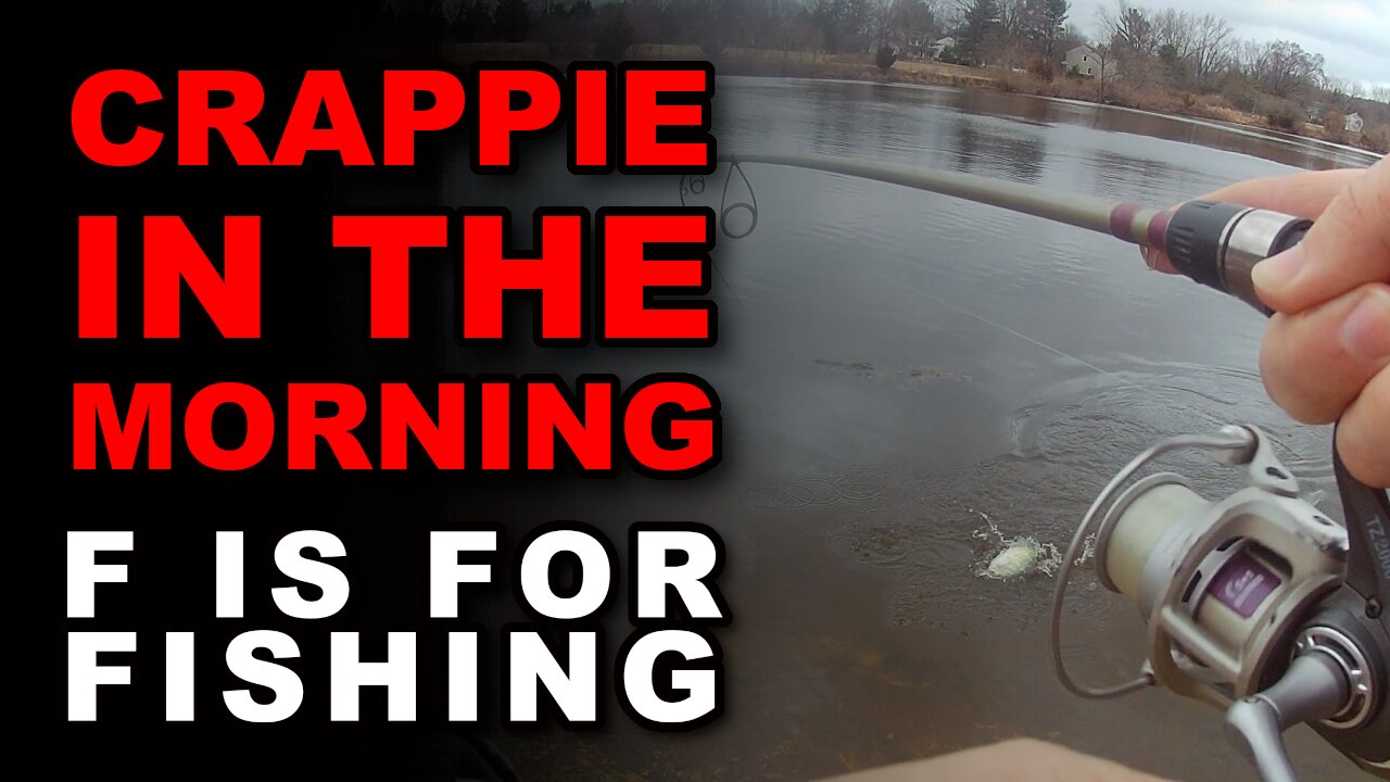 Crappie in the Morning
