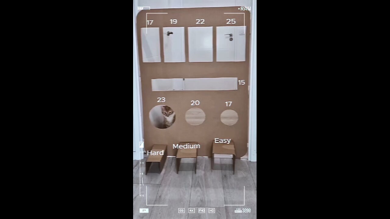 Cat logic