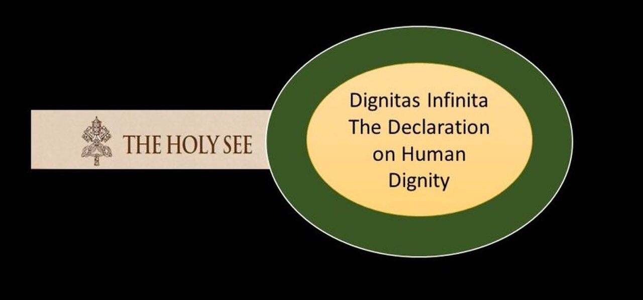 Pope Francis The Road to Dignity by 2030 Explained by pineconeutopia