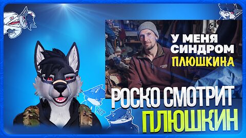 🐺 Роско смотрит Коллектив - Что мы найдем дома у Плюшкина?
