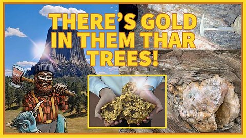 C'È DELL'ORO IN QUEGLI ALBERI!