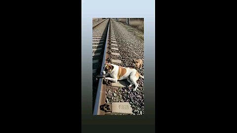 भावुक करने वाला विडिओ