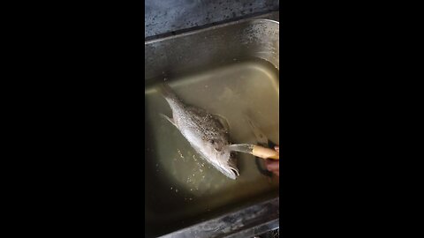 BBQ party with friends