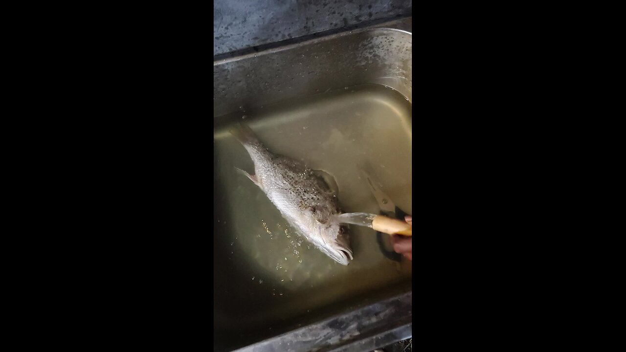 BBQ party with friends