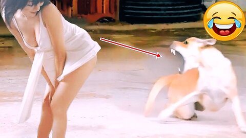 Non-Stop Laughter! 🤣 Best Funny Video Moments