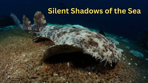 Silent Shadows of the Sea: The Secret World of Wobbegong Sharks