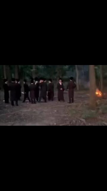 Jews caught performing burning ritual on a deer in the woods in Monsey NY