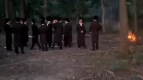 Jews caught performing burning ritual on a deer in the woods in Monsey NY