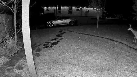 Seed corn, here and there.