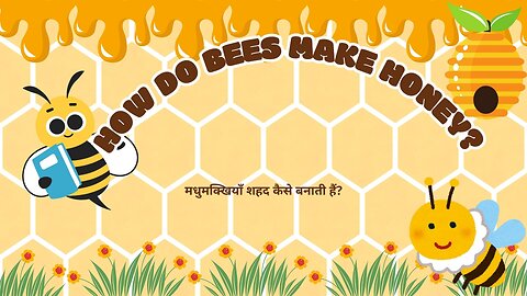How Do Bees Make Honey? – The Sweet Science of Bees!
