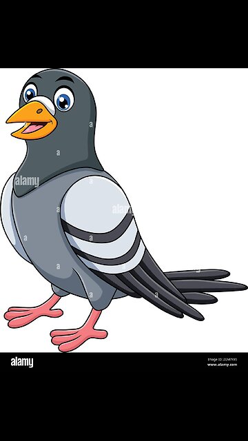 "Pigeon Inc.: From Park Bench to Boardroom"