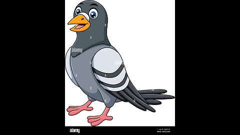 "Pigeon Inc.: From Park Bench to Boardroom"