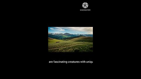 Amazing Facts