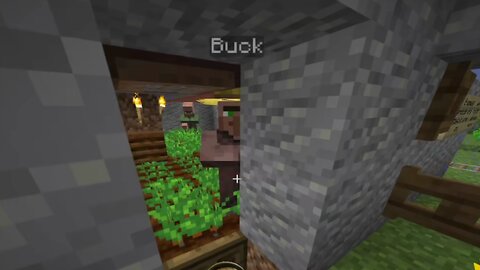 #buck n #lazysusan #smp #minecraft #pandemoniumgames