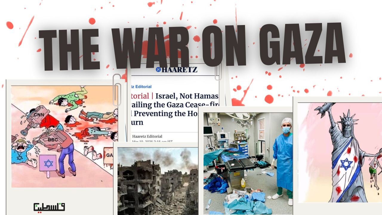 THE WAR ON GAZA - LIVE SHOW