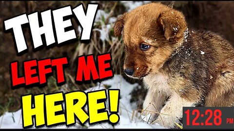 He Was Left to Die… But a Stranger Changed Everything ❤️ | True Rescue Story