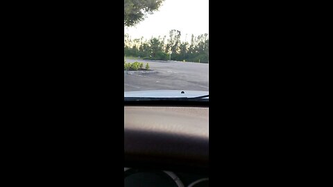 caught Sarasota County sheriff catfish& ghosting& using fake accounts in social media doing this...