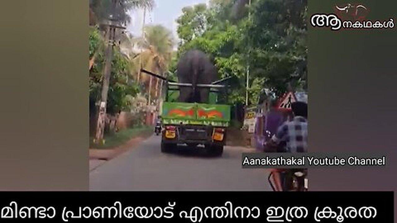 വൈദ്യുത ലൈനിൽ തട്ടി ആനയുടെ ശരീരം _ Elephant video _ Elephant attack kerala 2025