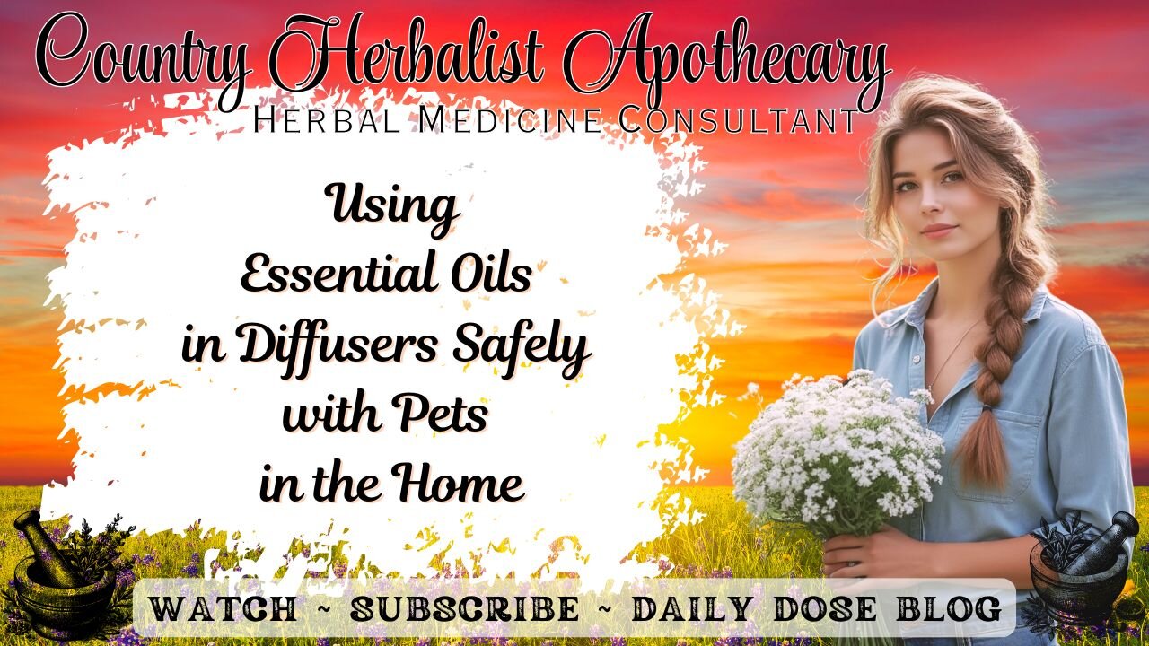 Using Essential Oils in Diffusers Safely with Pets in the Home