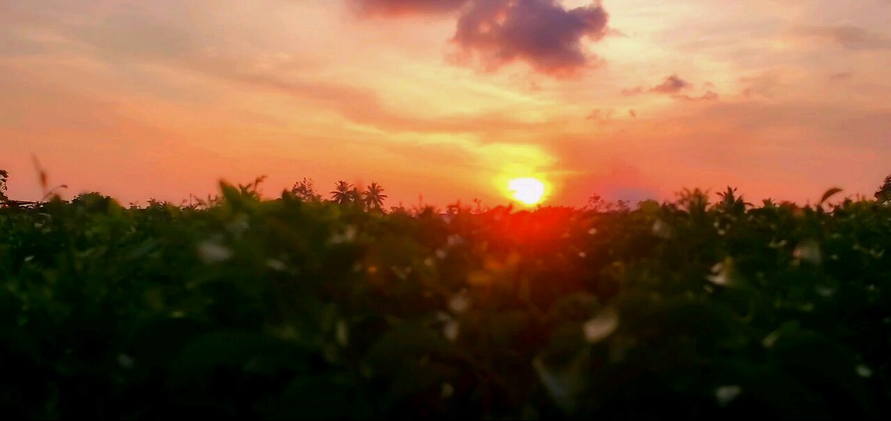 sun set