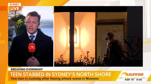 Two men in custody following Sydney teenager stabbing |sunmax966
