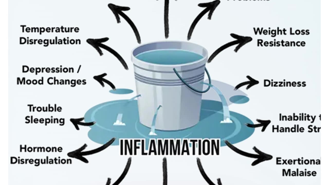 Why Gut Protocols Weren’t Enough for Me