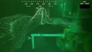 Filmed at nearly 4,000 feet deep in the Gulf of Mexico, this bioluminescent siphonophore glows