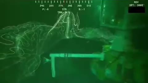 Filmed at nearly 4,000 feet deep in the Gulf of Mexico, this bioluminescent siphonophore glows