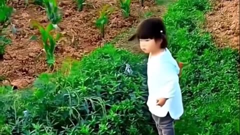 😊🐰 Your Heart Will Melt Watching This Teamwork! | FunFM