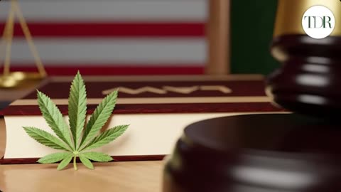 Marijuana Market Meltdown