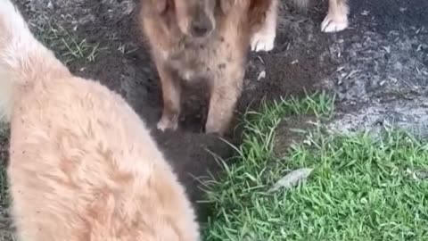 😂