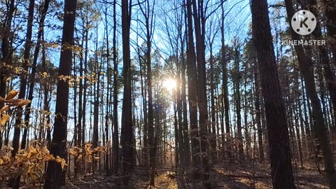 Relocated my ALPS tent ⛺
